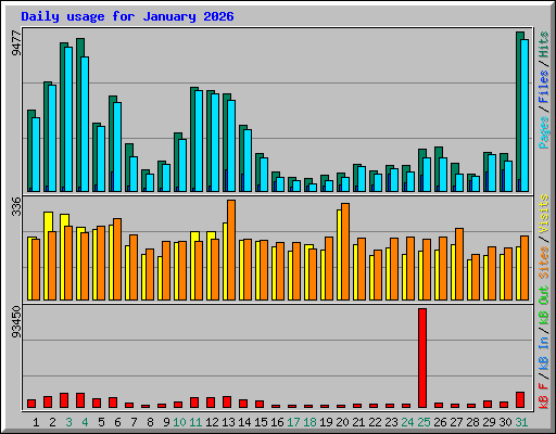 Daily usage for January 2026
